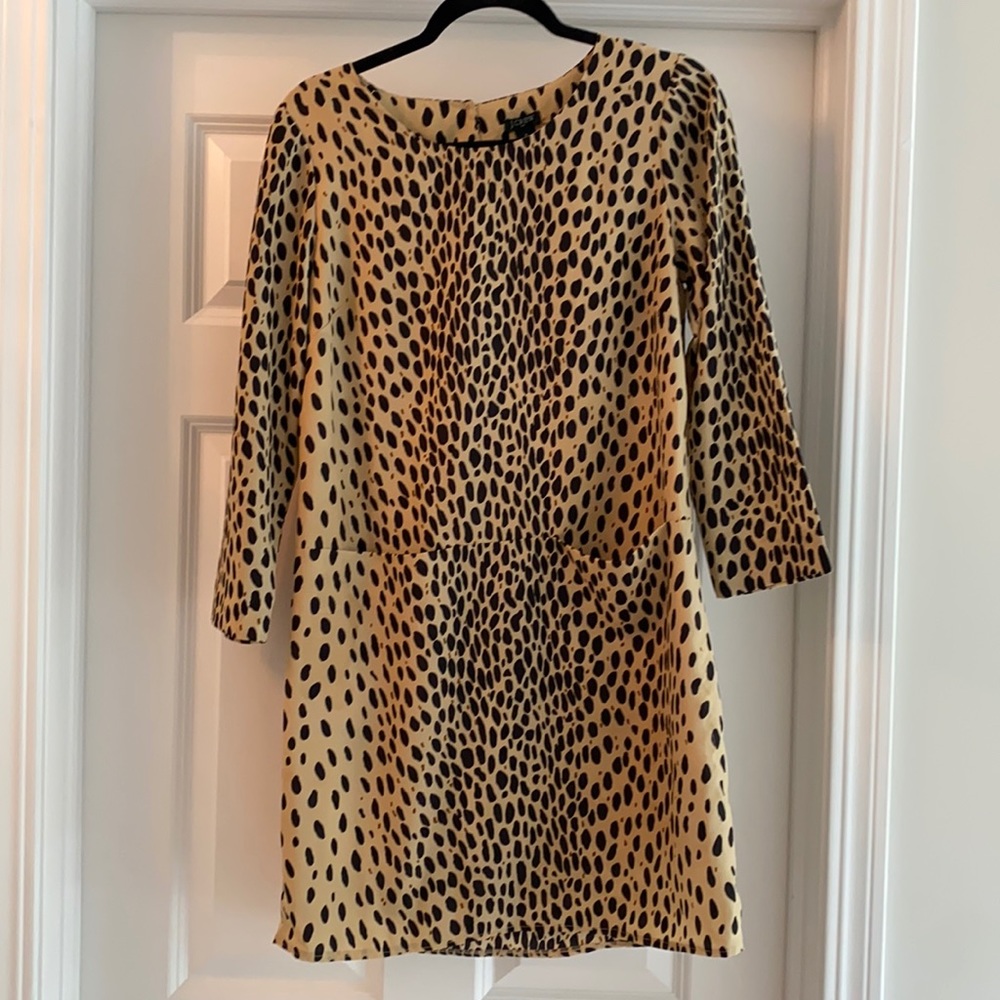 JCREW Dress